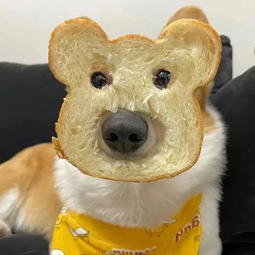 每天进步